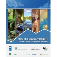 Publication Thumbnail