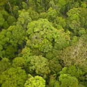 Publication Thumbnail