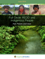 Publication Thumbnail