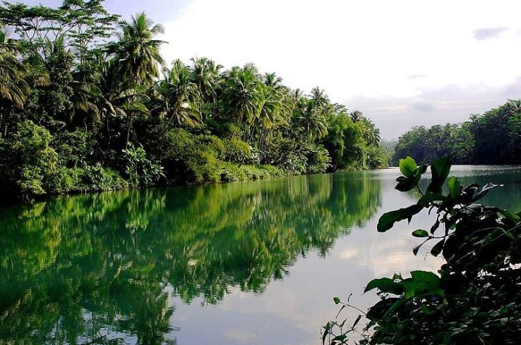 REDD can be high quality: Here’s how