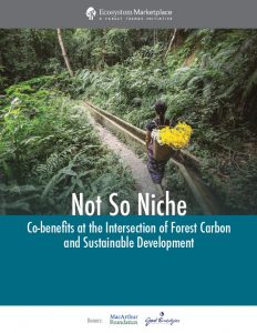 Publication Thumbnail