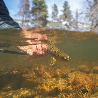 Comment Period Open On Repealing Clean Water Protections