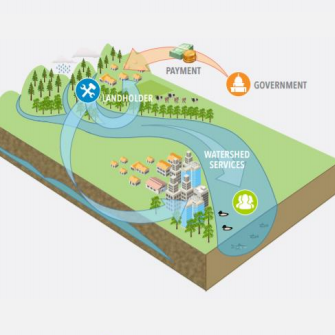 Can Europe Tap The Private Sector To Protect Its Environment?