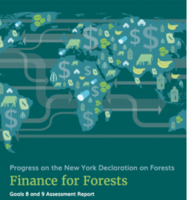 Why Are Forests Dying? Perhaps Because We Spend 40 Times More To Destroy Them Than To Save Them