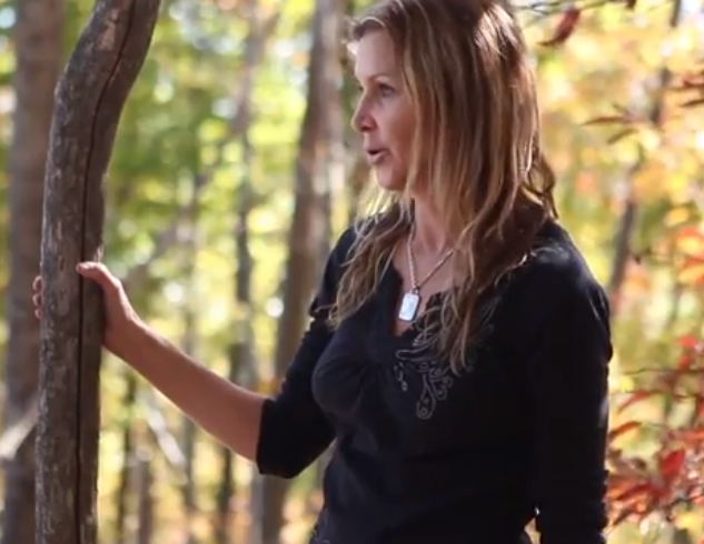 The Grand Experiment To Save Appalachia’s Forests