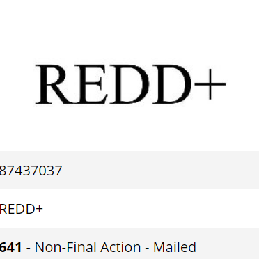 As REDD Talks Progress In Bonn, Question Arises: Who Can Use The Term “REDD+”?