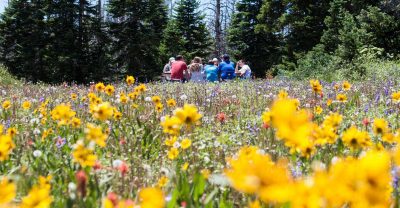 A First Look at ECOSTAR’s Nature-Based Startup Portfolio