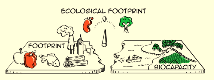 We’re Depleting Natural Resources Twice As Fast As Nature Can Recover. Here’s The Good News.