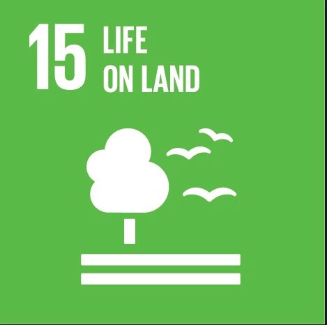 Why The UN Sustainable Development Goals Really Are A Very Big Deal