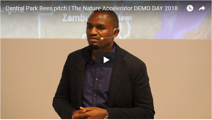 Want To Invest In Cricket Crackers And Honeybees? Here’s How!