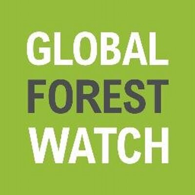 World Lost 12 Million Hectares of Tropical Forest in 2018
