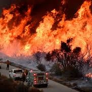 Americans Deserve Better Coverage of Carbon Finance