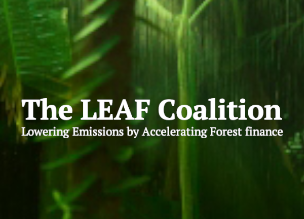 LEAF Says it’s Hit its $1 Billion Target