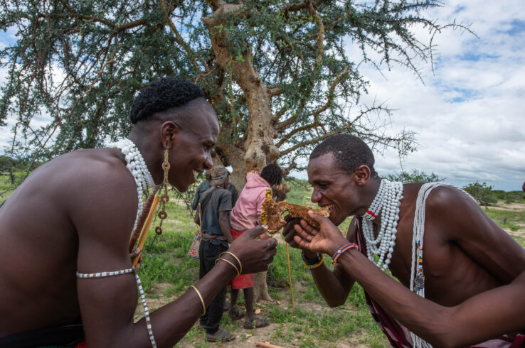 <i>Commentary</i><br>No More Price Takers: Five Disruptive Ideas for Fair Value for Forests