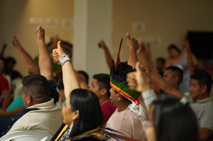 <i>Commentary</i><br>Brazil’s New Resolution: A Step Forward for Indigenous Rights and Forest Governance